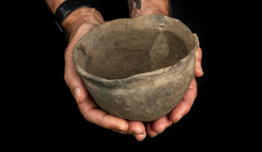 Students in Florida Discovered a 400-Year-Old Intact Pot That Reveals Conflict Among Indigenous, Spanish and English Powers