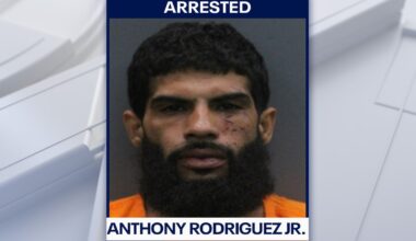 Seffner man tries to run from deputies after choking woman unconscious: HCSO