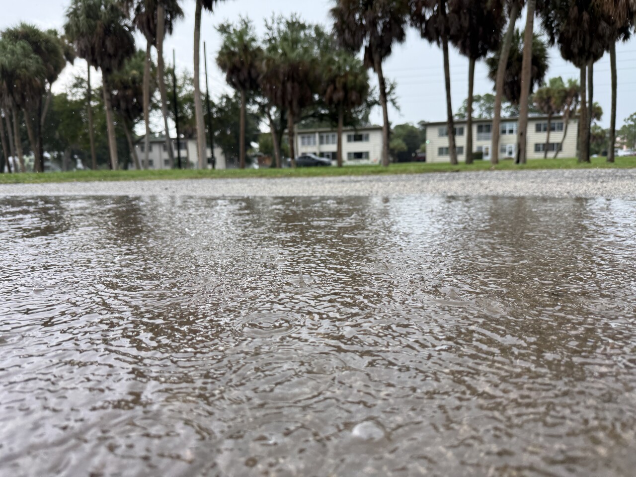 As flooding becomes more frequent, St. Pete gets $2.2 million for 2 key projects2.JPG