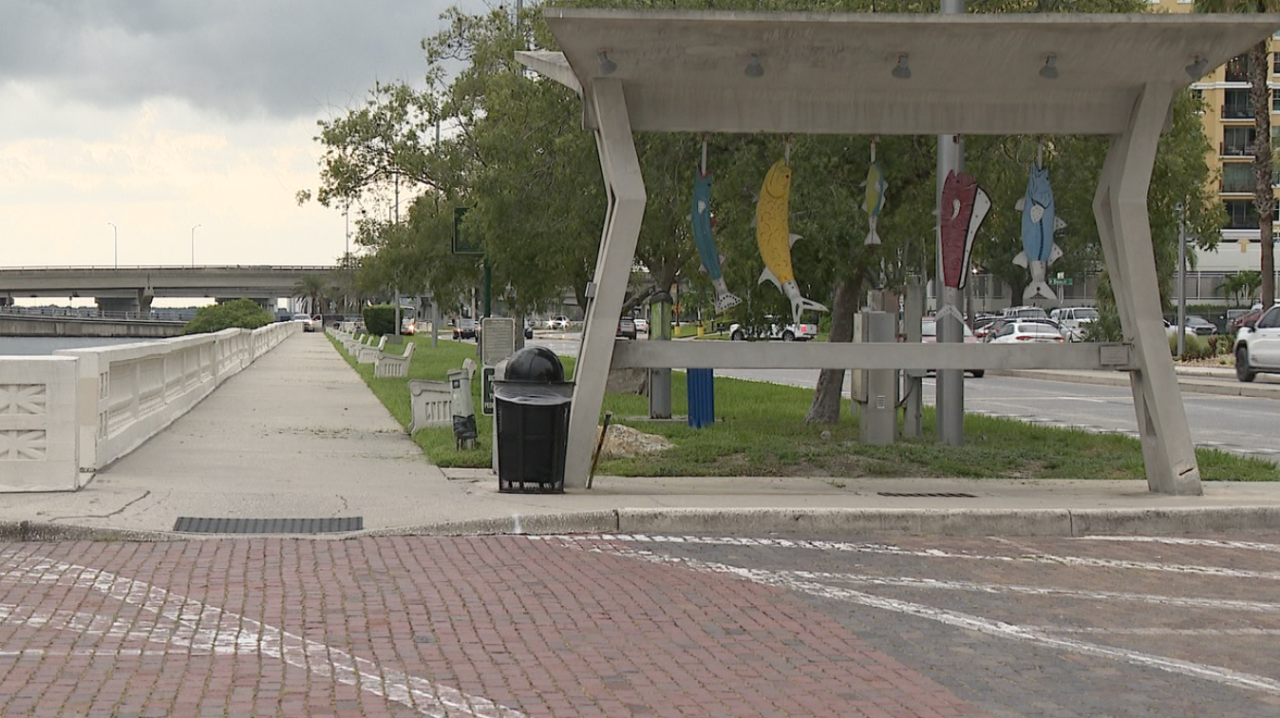 Bayshore Boulevard