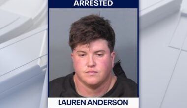 Florida woman arrested for DUI after driving through homicide crash scene: BCSO