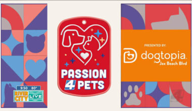 Passion 4 Pets: Dogtopia is the ultimate daycare, boarding and spa destination for your dog