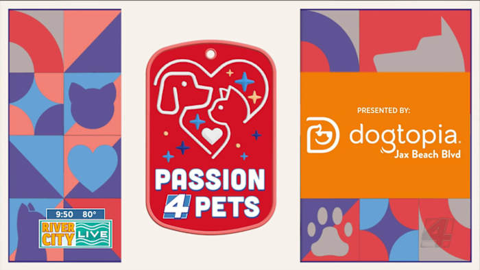 Passion 4 Pets: Dogtopia is the ultimate daycare, boarding and spa destination for your dog