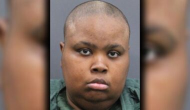 Severely neglected dogs found in Tampa apartment, caregiver arrested: HCSO