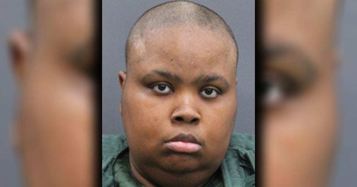 Severely neglected dogs found in Tampa apartment, caregiver arrested: HCSO