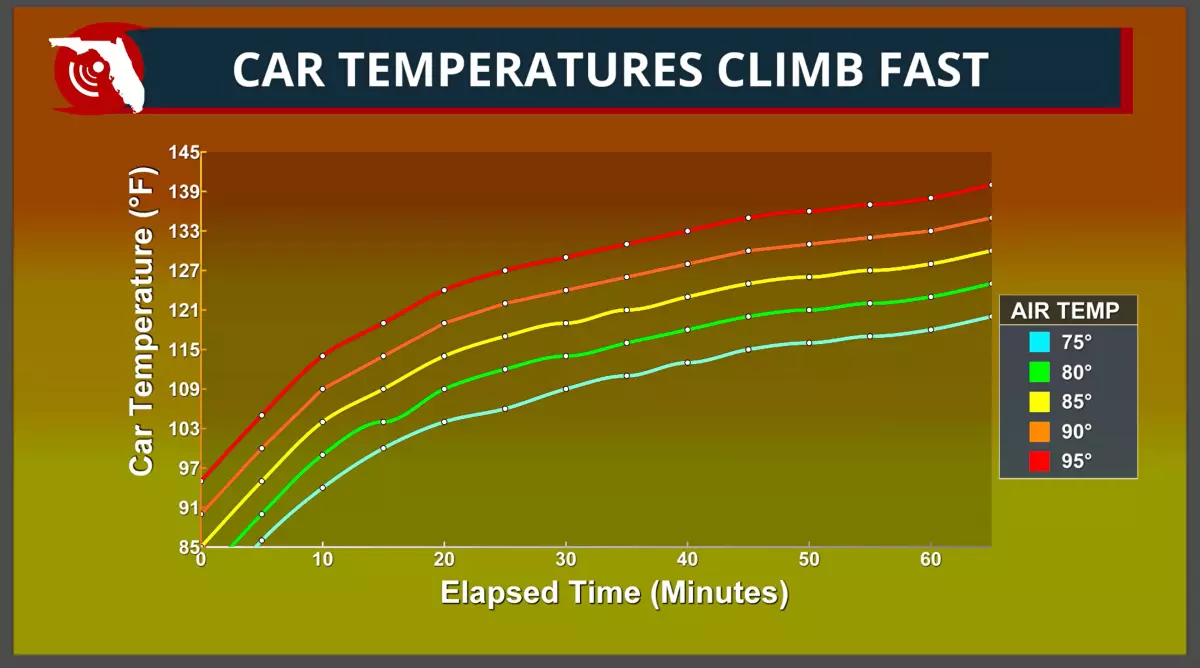 Internal car temperatures climb quickly, even with the windows slightly open.