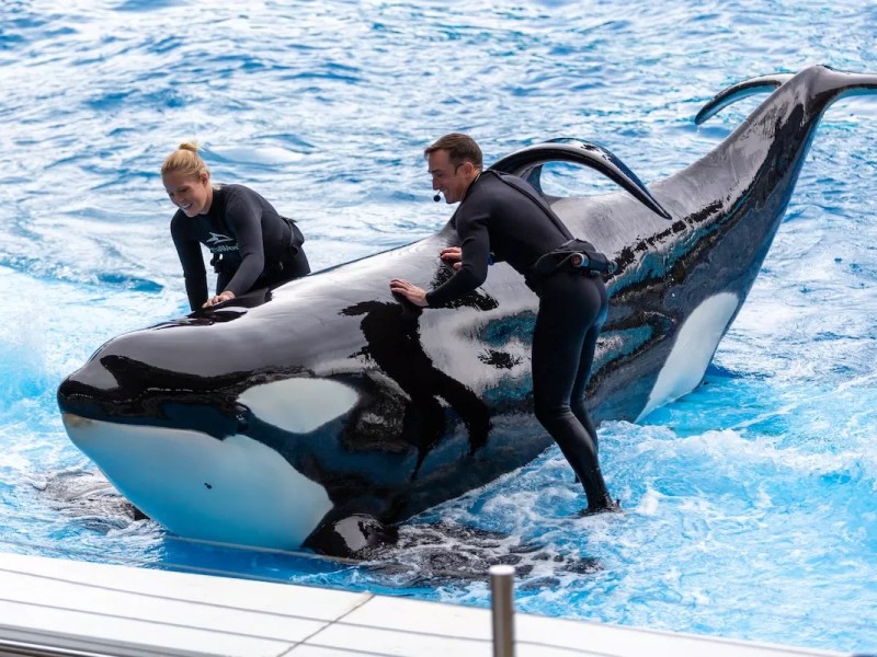 They keep SeaWorld visitors safe. They’re fighting for safety on the job themselves.