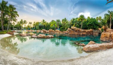 SeaWorld Orlando ordered to post 'We violated federal labor law' notice at park
