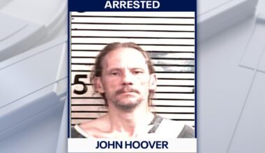 Florida man arrested after deputies find dead, neglected dogs during welfare check: HCSO