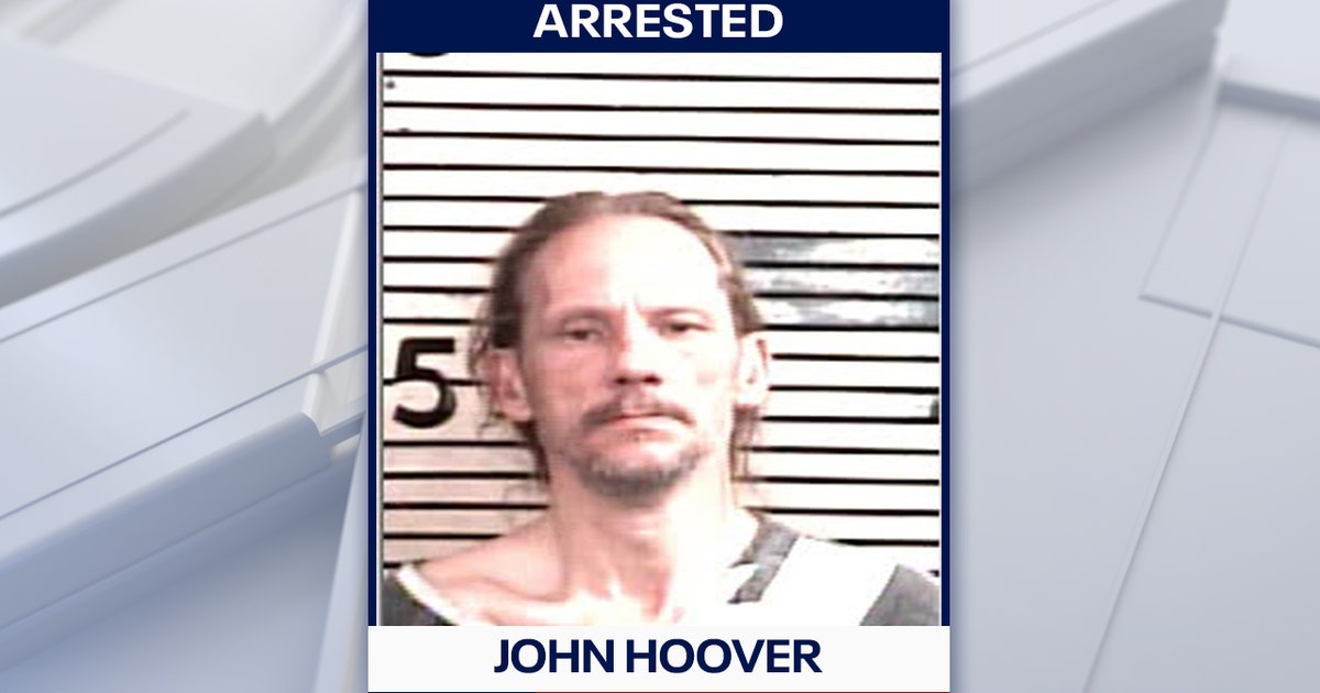 Florida man arrested after deputies find dead, neglected dogs during welfare check: HCSO