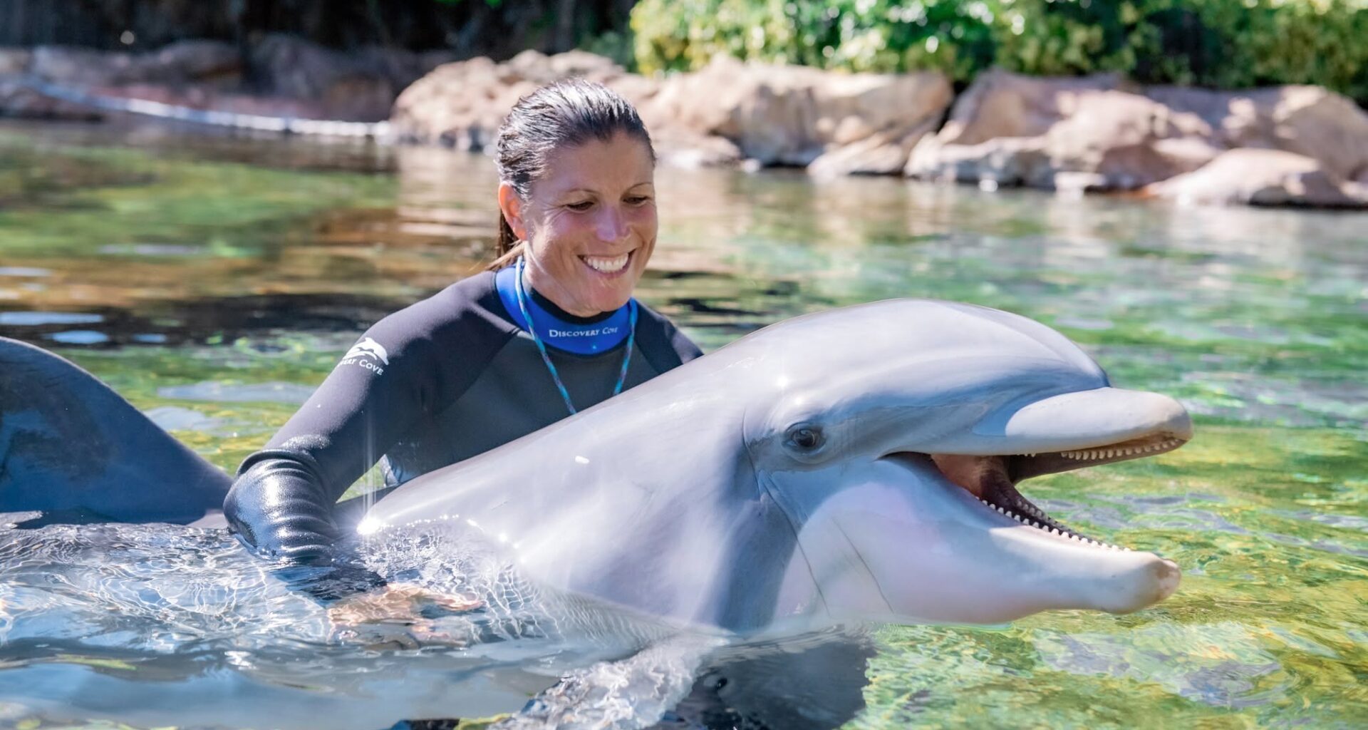 SeaWorld Orlando ordered to post ‘We violated federal labor law’ notice at park
