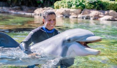 SeaWorld Orlando ordered to post ‘We violated federal labor law’ notice at park