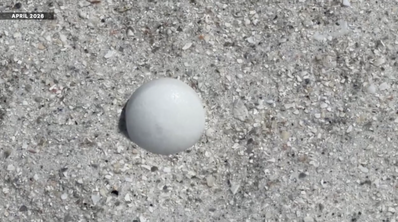 Mothballs