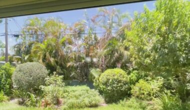 South Florida woman's $18,000 window order had distortions twice; she got a free upgrade after CBS News Miami stepped in