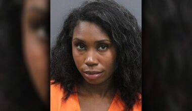 Driver behind bars after deadly Hillsborough County hit-and-run crash: Deputies
