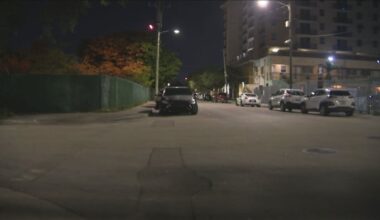 Man shot in torso in Miami, police say