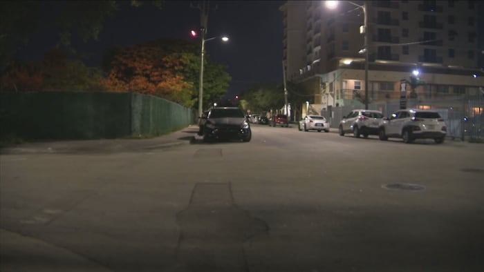 Man shot in torso in Miami, police say
