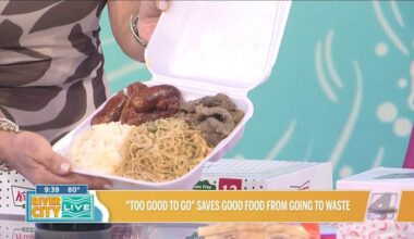 "Too Good To Go" saves good food from going to waster