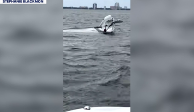 Good Samaritans rescue man after boat capsizes near Davis Islands