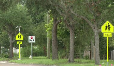 St. Petersburg crosswalk upgrades: City improves school zone safety