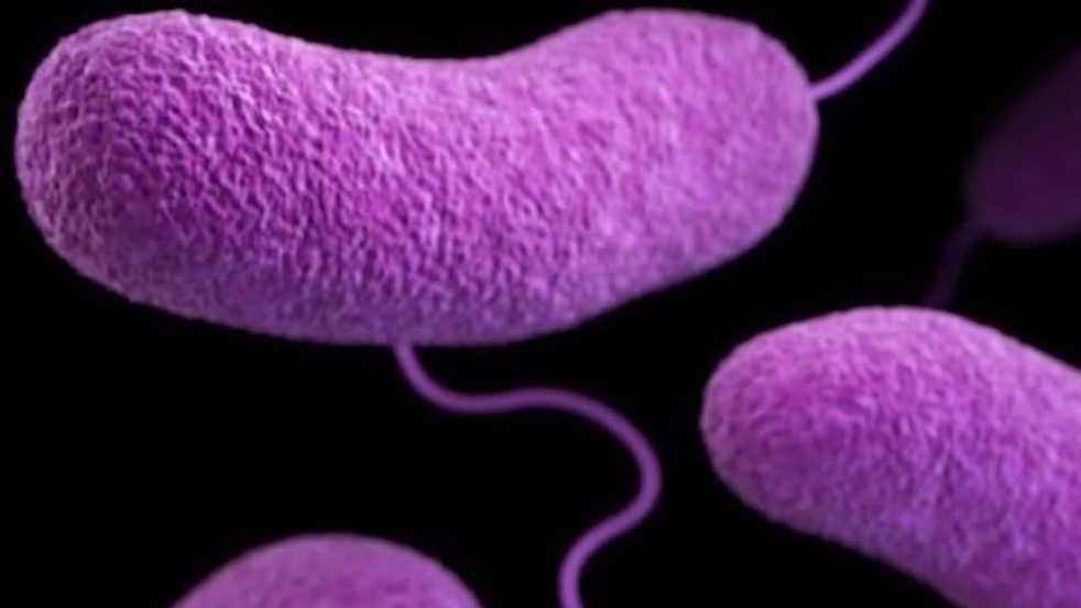 Palm Beach County reports Florida's first 'flesh-eating bacteria' death this year