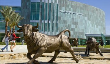 USF sets donor record with $172M in fundraising