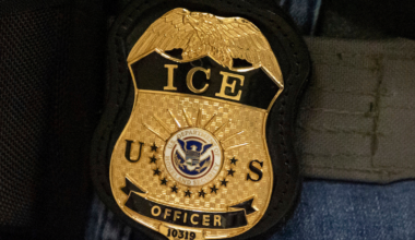 Man fleeing immigration officers in Florida is struck and killed by tractor trailer, police say