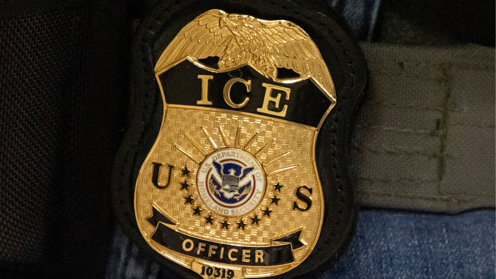 Man fleeing immigration officers in Florida is struck and killed by tractor trailer, police say