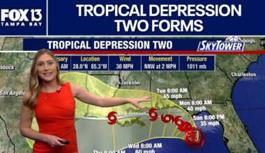 Tropical Depression Two forms in Gulf