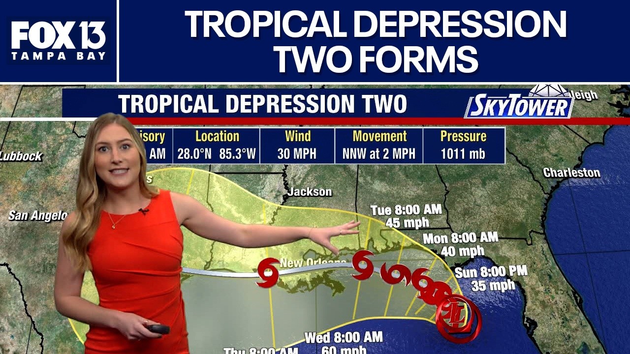 Tropical Depression Two forms in Gulf