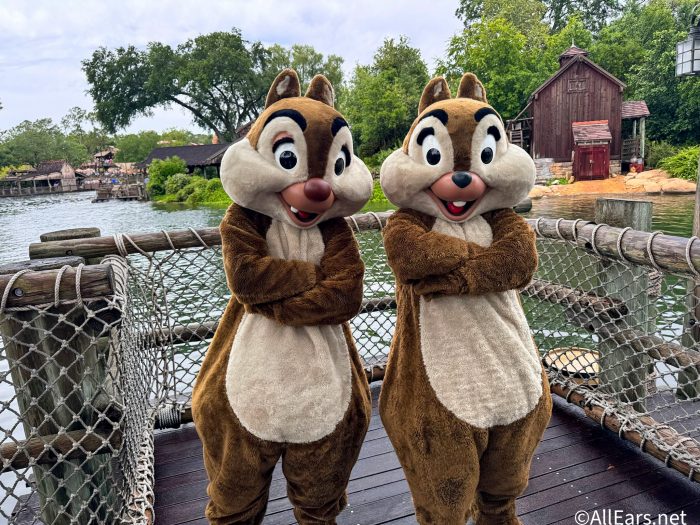 Uh Oh. Does This Mean My Favorite Magic Kingdom Shortcut Is About to Disappear?!