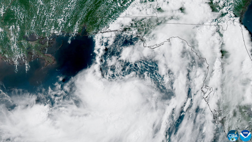A satellite view of Tropical Storm Bertha forming over the eastern Gulf of Mexico, near Florida