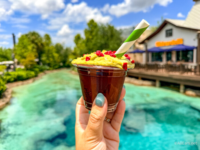 REVIEW: This Fancy Chocolate Milk From Disney Springs Will Live Rent Free in Our Minds