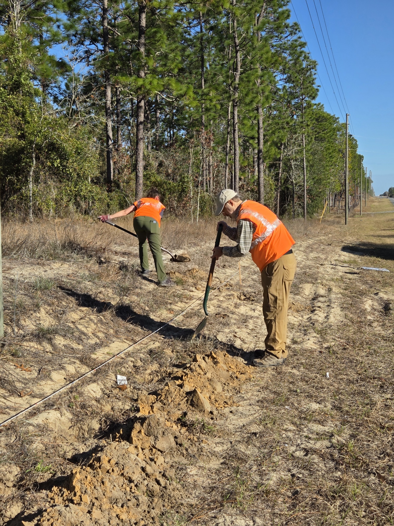 Two people wearing orange vests digging holes on the side of the road. 