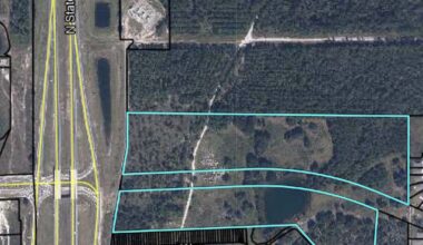 Oakleaf Plantation primed for 47.5-acre commercial addition