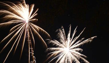 Port St. Lucie hosts Freedom Fest with fireworks and live music