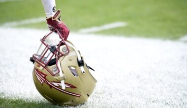 florida state, helmet