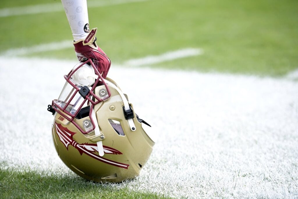 florida state, helmet
