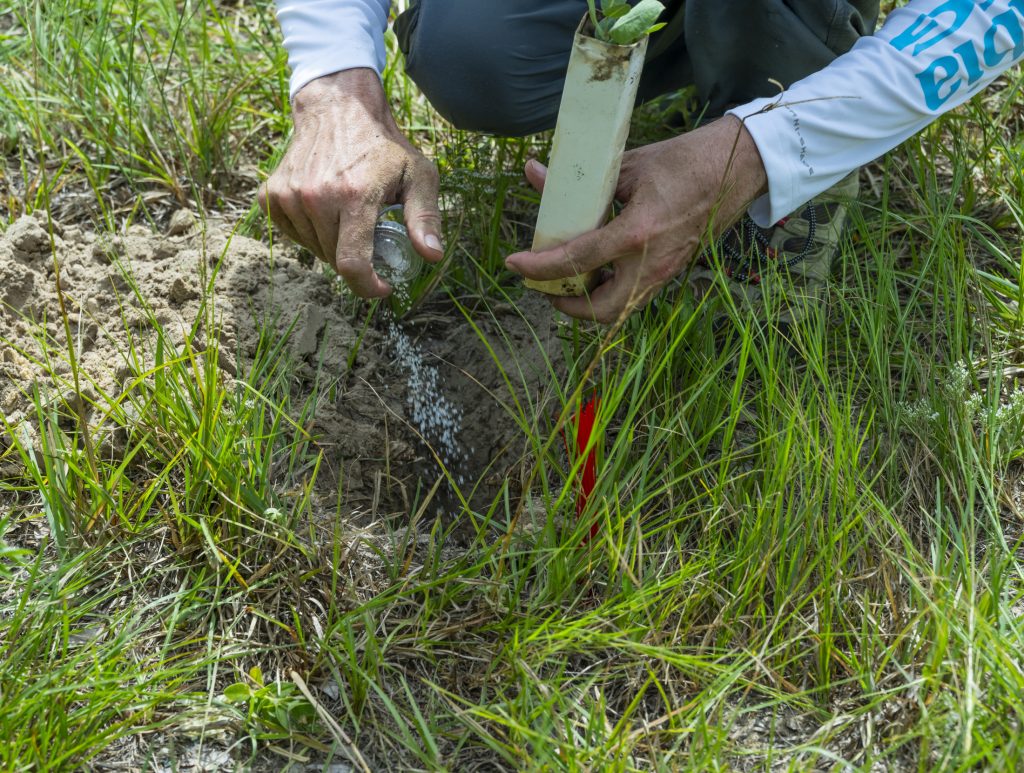 Person pours polymer beads from a plastic container into a hole in the ground.