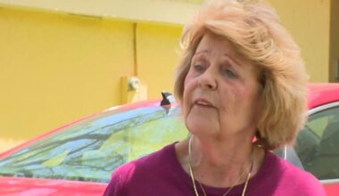 Absolutely Not: Florida woman’s “suggestive” license plate goes viral
