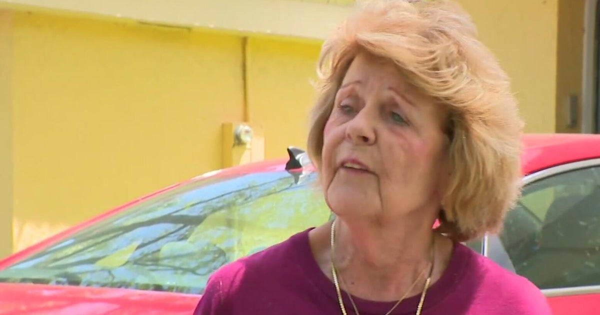 Absolutely Not: Florida woman’s “suggestive” license plate goes viral