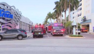 Firefighters rescue dog from burning apartment in Hollywood - WSVN 7News | Miami News, Weather, Sports