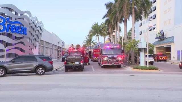 Firefighters rescue dog from burning apartment in Hollywood - WSVN 7News | Miami News, Weather, Sports