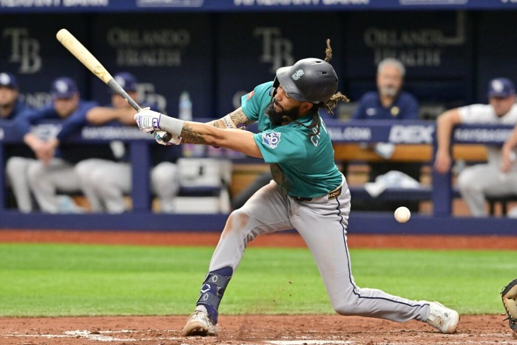 Tampa Bay Rays