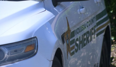 2 hospitalized after stabbing in Ormond Beach, deputies say