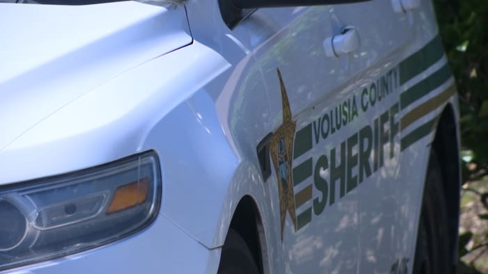 2 hospitalized after stabbing in Ormond Beach, deputies say