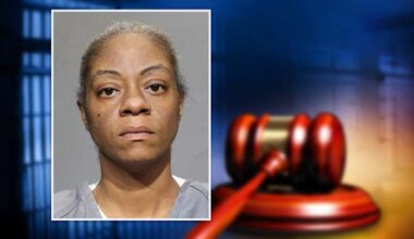 Woman pleads guilty in animal cruelty case of emaciated Great Dane found in Jacksonville
