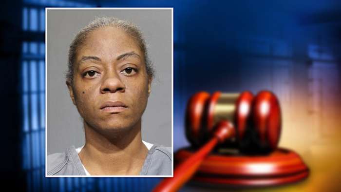 Woman pleads guilty in animal cruelty case of emaciated Great Dane found in Jacksonville
