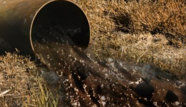 About 95,000 gallons of raw sewage spilled at Wakulla Correctional Institute