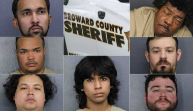 Broward deputies accuse 7 in child solicitation sting